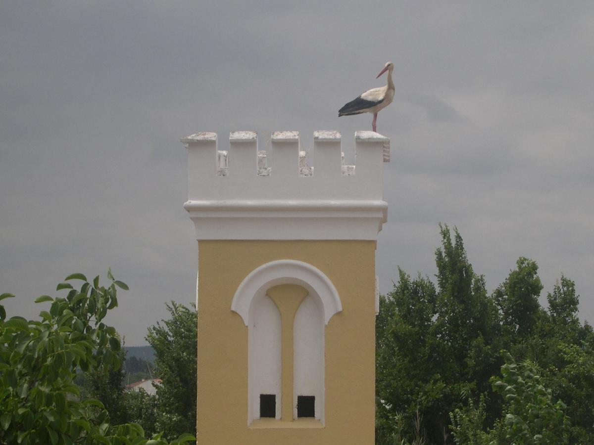 Quinta de Coalhos TH Abrantes Exterior foto