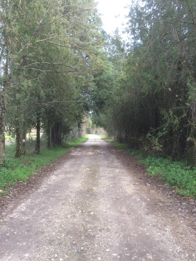 Quinta de Coalhos TH Abrantes Exterior foto